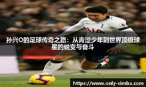 55世纪官网